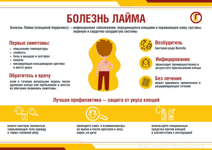 ПАМЯТКА ДЛЯ РАБОТОДАТЕЛЕЙ ПО ПРОФИЛАКТИКЕ КЛЕЩЕВОГО ВИРУСНОГО ЭНЦЕФАЛИТА (КВЭ) ПАМЯТКА ДЛЯ РАБОТОДАТЕЛЕЙ ПО ПРОФИЛАКТИКЕ КЛЕЩЕВОГО ВИРУСНОГО ЭНЦЕФАЛИТА (КВЭ).
